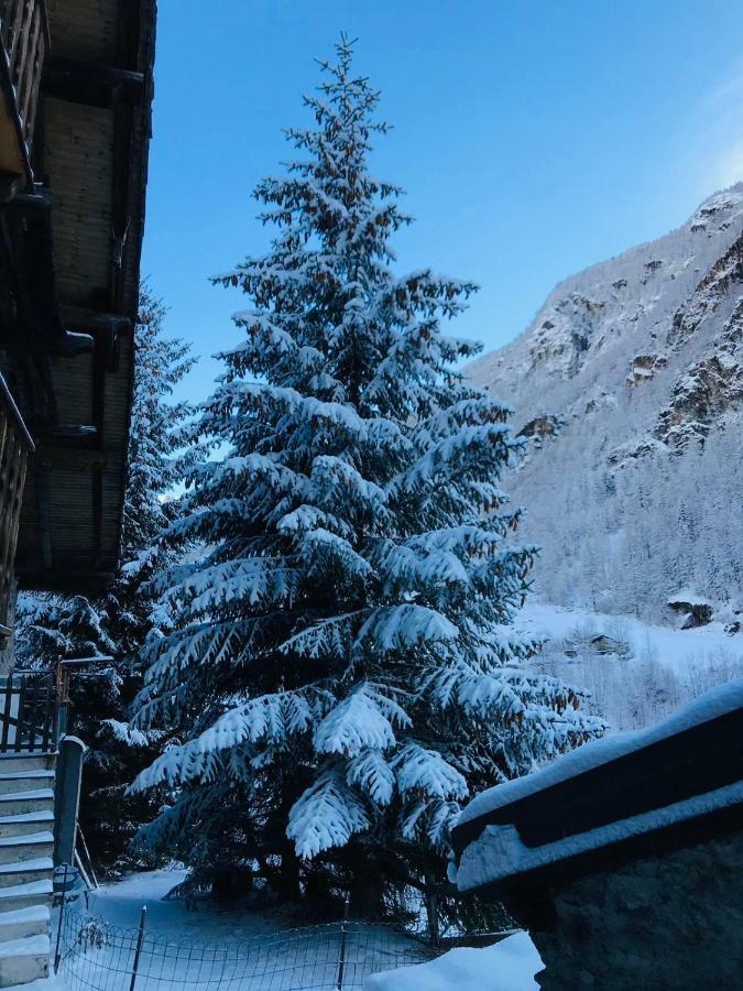 Casa Vacanze Nora Chamois Exterior foto